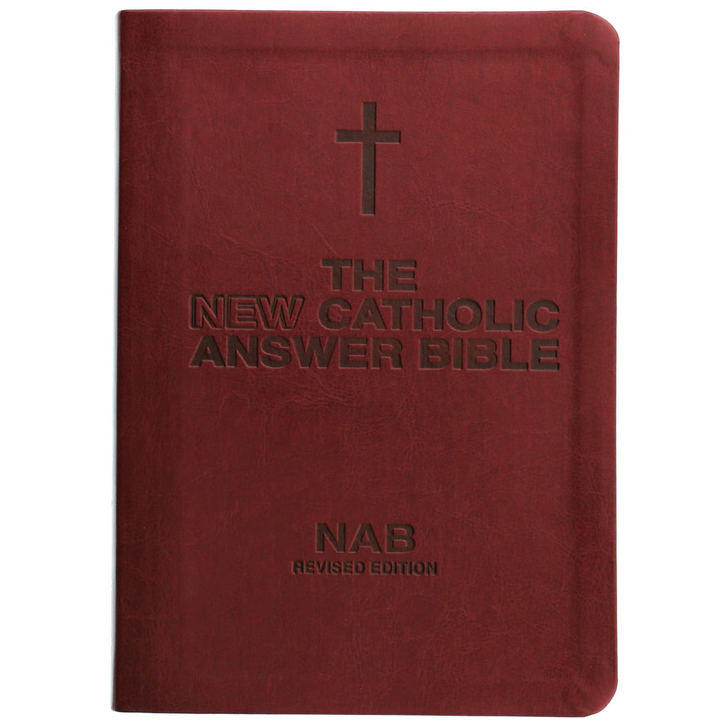 The New Catholic Answer Bible Lagron Miller Company